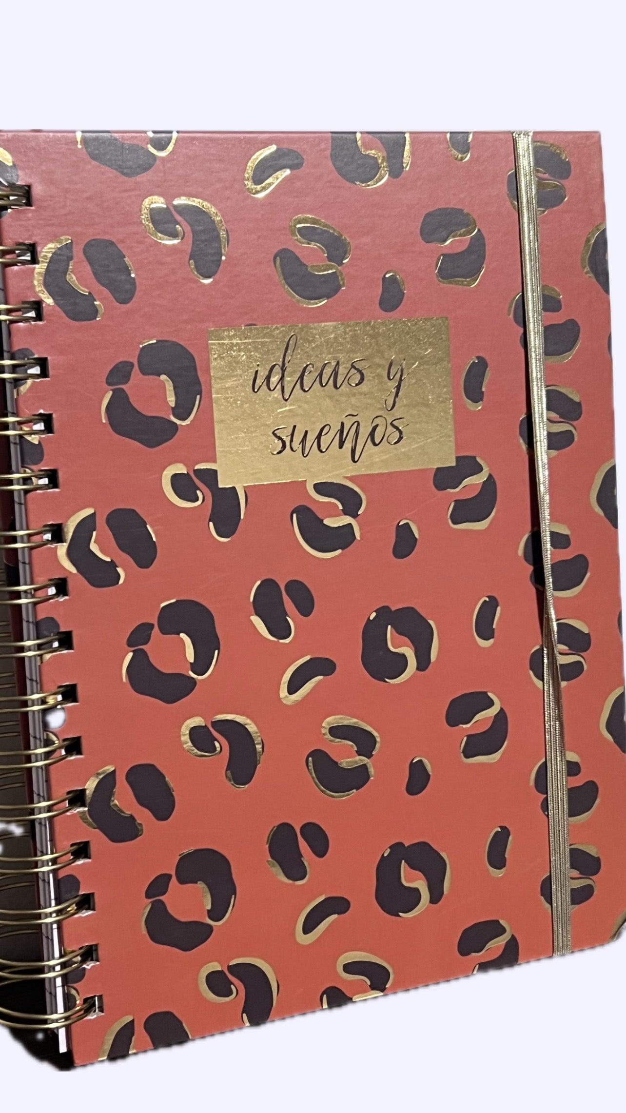 Ideas y Sueños- wire spiral bound journal